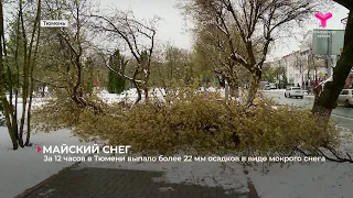 Майский снег