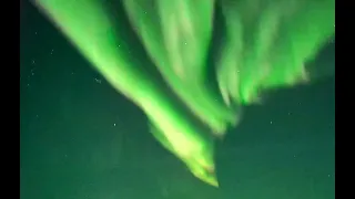 Aurora Borealis. Explore.org 16 February 2021