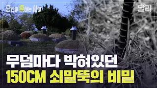 ＂발견된 쇠말뚝만 378개＂ 누가 무덤에 말뚝을 박았을까? | 당신이 혹하는 사이 (SBS방송)