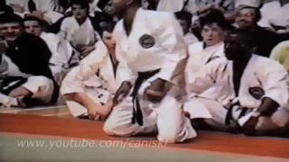 Karatê Shotokan Tradicional. Alto Nível do Karatê.