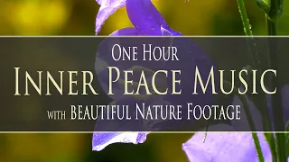 1 HR Inner Peace Music - with Beautiful Spring Nature Footage to Re-energize You