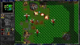 Warcraft 2 12.3.2024