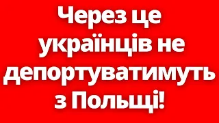 Прості факти! Ось чому українців ніколи примусово не депортуватимуть з Польщі!