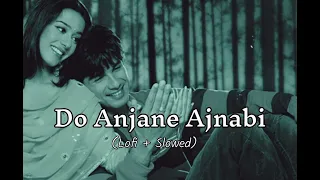 Do Anjane Ajnabi | Old Hindi Romantic Songs| Lofi + Slowed | @gauravslowed #gauravslowed