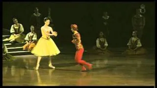 Jordan-Elizabeth Long: Swan Lake Pas de Trois (2011)