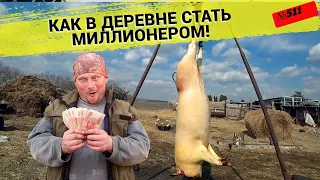 Свиньи или быки - на чём можно разбогатеть в деревне. Омск Москаленки жизнь в деревне.
