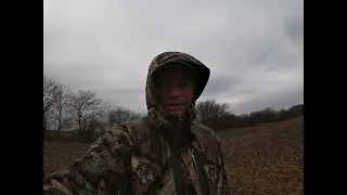 Arrowhead hunting Illinois fields and creeks 2224.