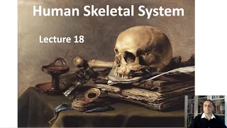 LECTURE 18: Human Skeletal System