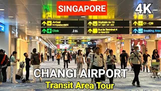 Changi Airport  Transit Area Tour |  Singapore Changi Airport Tour |  Changi Airport Terminal 1