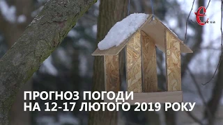 Прогноз погоди на тиждень - 12-17 лютого / Хмельницька область