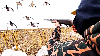 SNOWY KANSAS FIELD DUCK HUNT! (Late Season)