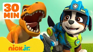 PAW Patrol Rex's Best Dino Rescues! 🦖! w/ Marshall & Skye | 30 Minute Compilation | Nick Jr.