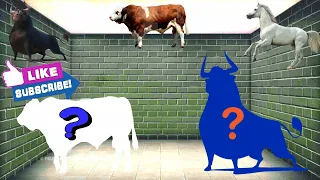 cute animals cow and bull, choose the right cow, bull or horse