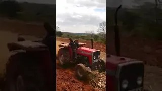 Massey ferguson 240 tractor ploughing