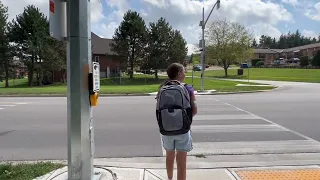 Pedestrian Crossing Tutorial