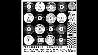 V/A Psychedelic Disaster Whirl (Blow Your Mind / 16 Rare & Wyld 45's  No Flower Power)(Garage 60's)