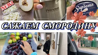 VLOG: Морожу ДЫНЮ/Ничего НЕ ЛЕЗЕТ/Роемся в МУСОРКЕ/Посадили СМОРОДИНУ/Отмываю КАСТРЮЛИ