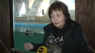 20 дней исполнилось новому обитателю сочинского аквариума  Новости 24 Сочи Эфкате