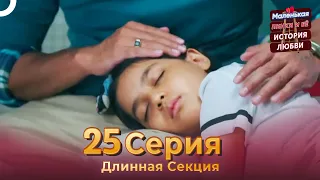 Маленькая Пинки и Её История Любви 25 Длинная Серия | Русский Дубляж