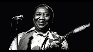 Muddy Waters live 1980