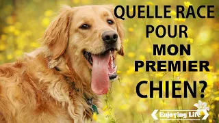 5 RACES DE CHIEN POUR DEBUTANT ✿ EnjoyingLife