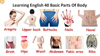 40 Basic Parts Of Body || Daily use English || Listen and Practice