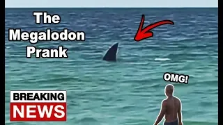 Megalodon Shark Prank In Florida! (Someone Pranked The News?)