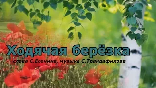 Ходячая берёзка /слова С.Есенина, музыка С.Трандафилова/