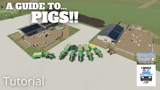 A Guide to Pigs in Farming Simulator 19!!