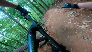 NEW Black Mountain Trails are really awesome  |  Pisgah National Forest  |  Southeast MTB