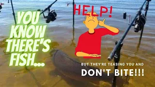 Why am I not getting any bites fishing? 5 fishing mistakes you need to avoid