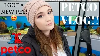 PETCO VLOG & I GOT A NEW PET!! | ItsAnnaLouise