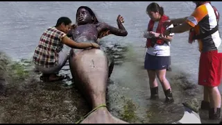 They find Mermaid On The Beach.. The Ending Will Shock You...
