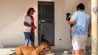 CHARLLES TROLA TIRINGA COM 2 PIT MONSTER 😂 | COMÉDIA SELVAGEM