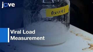 Viral Load Measurement