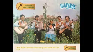 Various ‎– Lejos Nube Cantando: Huyanos Y Folcloricas Del Peru : 60s 70s Latin Traditional Music LP