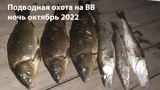 Подводная охота на веселовском водохранилище октябрь 2022 ночная подводная охота 2022