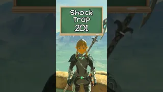 Shock Trap 201 (Duplication) | Breath of the Wild Glitches