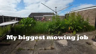 I offered to cut this crazy long grass for free | long grass mowing and edging