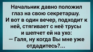 Начальник Захотел Свою Секретаршу! Сборник Свежих Анекдотов! Юмор!