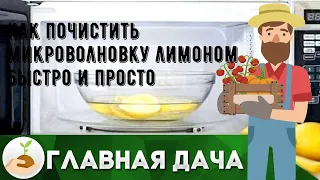 Как почистить микроволновку лимоном быстро и просто