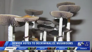 Denver is 1st US city to decriminalize 'magic mushrooms'