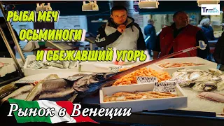 Самый крутой рыбный рынок в Европе💥 Венеция 2023