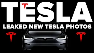 NEW Tesla Spotted In Florida | This Looks Insane