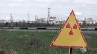 euronews science - Signs of radiation recovery in Chernobyl wildlife