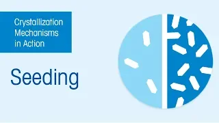 Crystallization Mechanisms: Seeding, Agglomeration, Dendritic Growth, Nucleation #crystallization