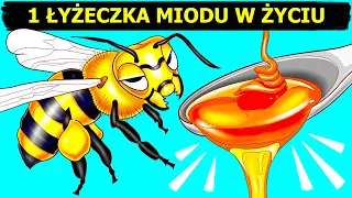 Jak i dlaczego pszczoły robią miód (i inne zastanawiające fakty o pszczołach)