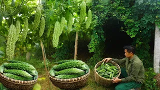 Harvest forest tubers and bitter melon and bring to the market to sell,completing the aquarium Ep 61