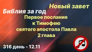 Библия за год |без музыки |день 316 | 1-е послание к Тимофею 2 глава |план чтения Библии 2022