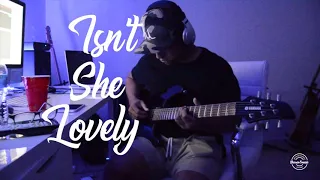 Isn’t She Lovely | Guitar Cover